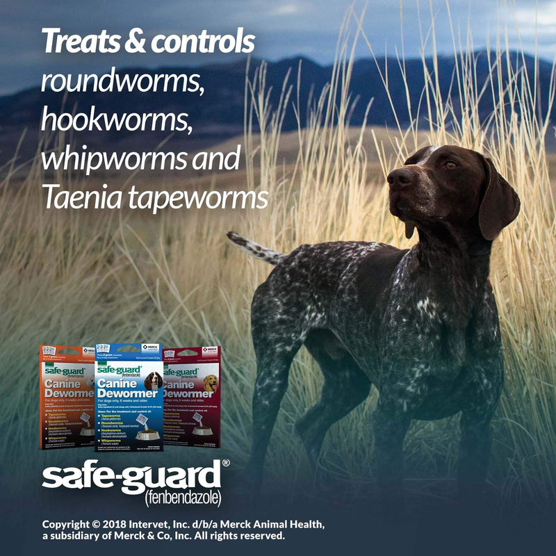 Safe-Guard (fenbendazole) Canine Dewormer for Dogs, 4gm pouch (ea. pouch treats 40lbs.) - PawsPlanet Australia