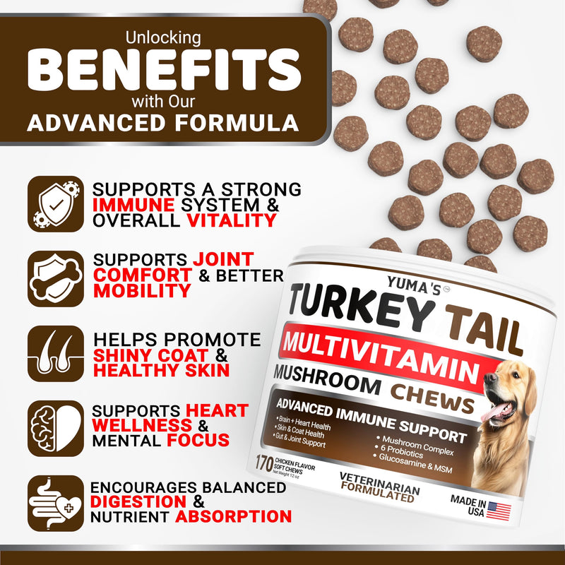 Turkey Tail Mushroom for Dogs - 170 Count - Mushroom Chews for Dogs Lipoma Lumps and Bumps - Immune Health, Digestive, Skin, Energy, Joint Vitamin Support Guard Buddy - Multivitamin Supplement Multivitamin Mushroom Complex 170 Chews