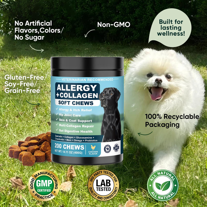 Dog Allergy Chews is Collagen Omega 3 Human Anti Itch Relief for Dogs Multivitamin Itching Skin Relief and Aller Immune Pet Allergy Chews Coat Licking Supplement Pills Meds Treats 200 Bites for Dogs 2 g/capsule 200pcs