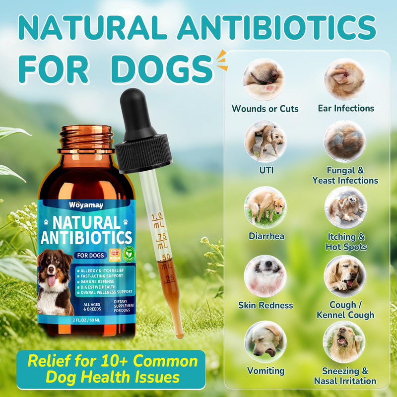 Woyamay Antibiotics for Dogs | Natural Dog Antibiotics for Allergy Relief, Itch Relief, Coughs, Skin Health, Breath Treatment, Digestion | Herbal Supplement to Care for Ears, Eyes & Coat, 2 Fl Oz Bacon 1 Pack