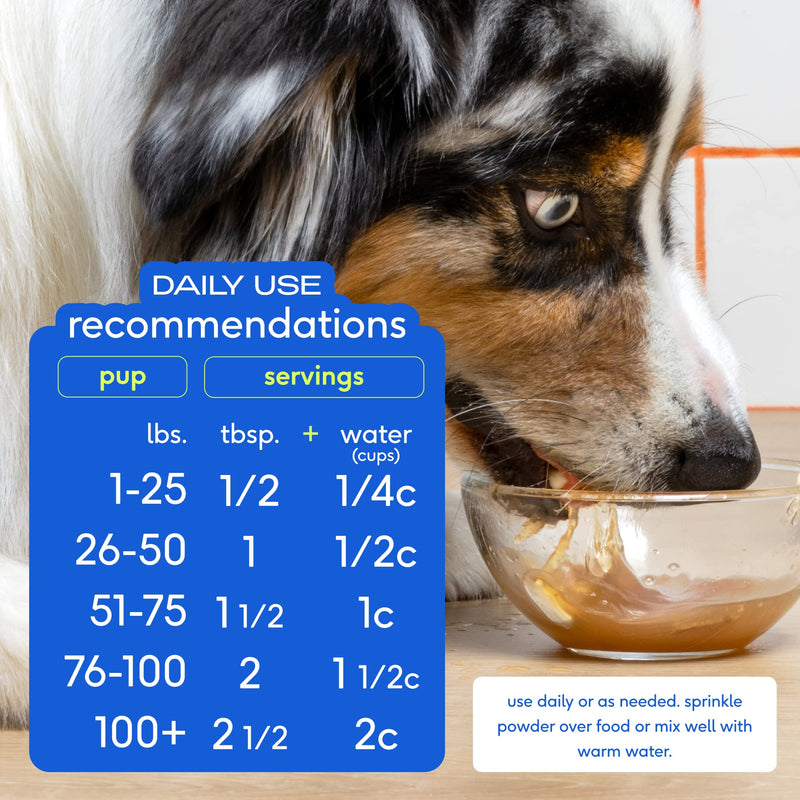 Native Pet Omega Oil for Dogs (8 oz.) & Beef Bone Broth for Dogs (4.75 oz.) - Made with Wild Alaskan Salmon Oil for Dogs - EPA DHA and Dog Bone Broth Powder Food Topper for Picky Eater - PawsPlanet Australia