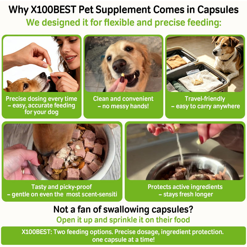 Probiotics for Dogs & Cats - 33.3B CFU, 11 Patented Strains & 4 Digestive Enzymes - Digestive & Gut Health, Immune Support, Cholesterol Metabolism & Weight Management - 80 Capsules