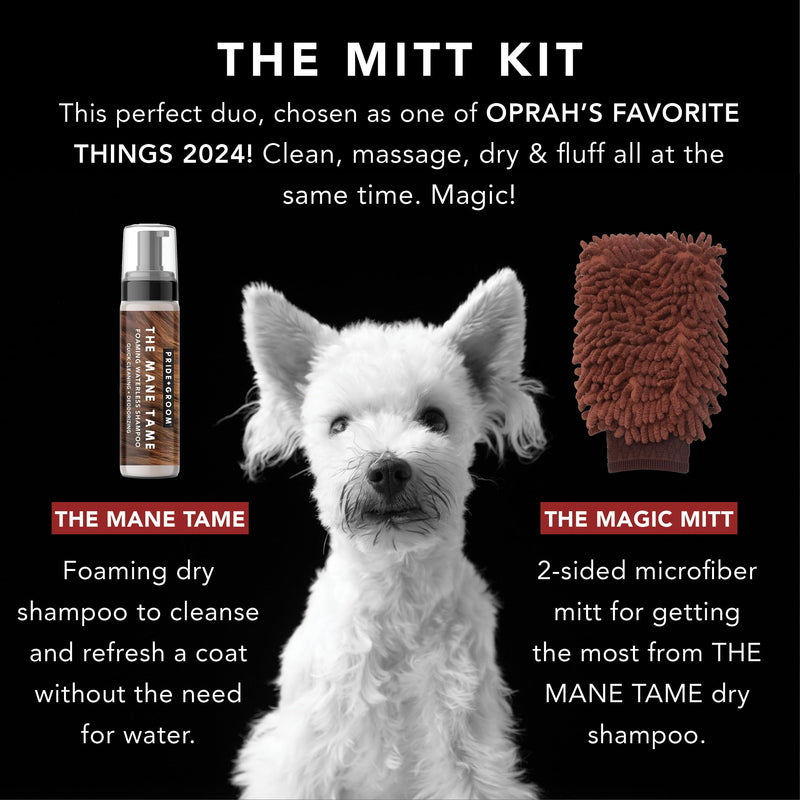 Pride and Groom THE MITT KIT: A Waterless Bath for Your Dog - Foaming Dry Shampoo and a Pet Sensitive Glove for a Rinse Free Cleanse and to Eliminate Odor - PawsPlanet Australia