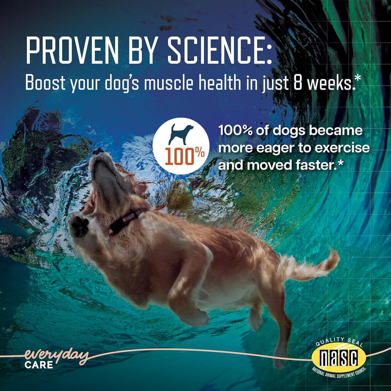 Virbac URSOLYX™ Soft Chews for Dogs | Muscle Health Support for Senior, Active or Recovering Dogs, Medium 30-60lbs | 60 Count 2- Month Supply 1 Pack (60 count)
