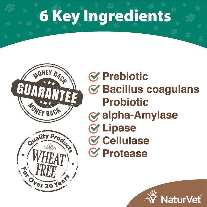 NaturVet – Digestive Enzymes For Cats Plus Probiotics – 60 Soft Chews – Helps Support Diet Change & A Healthy Digestive Tract – Aids in the Absorption of Vitamins & Minerals – 30 Day Supply 60ct - PawsPlanet Australia