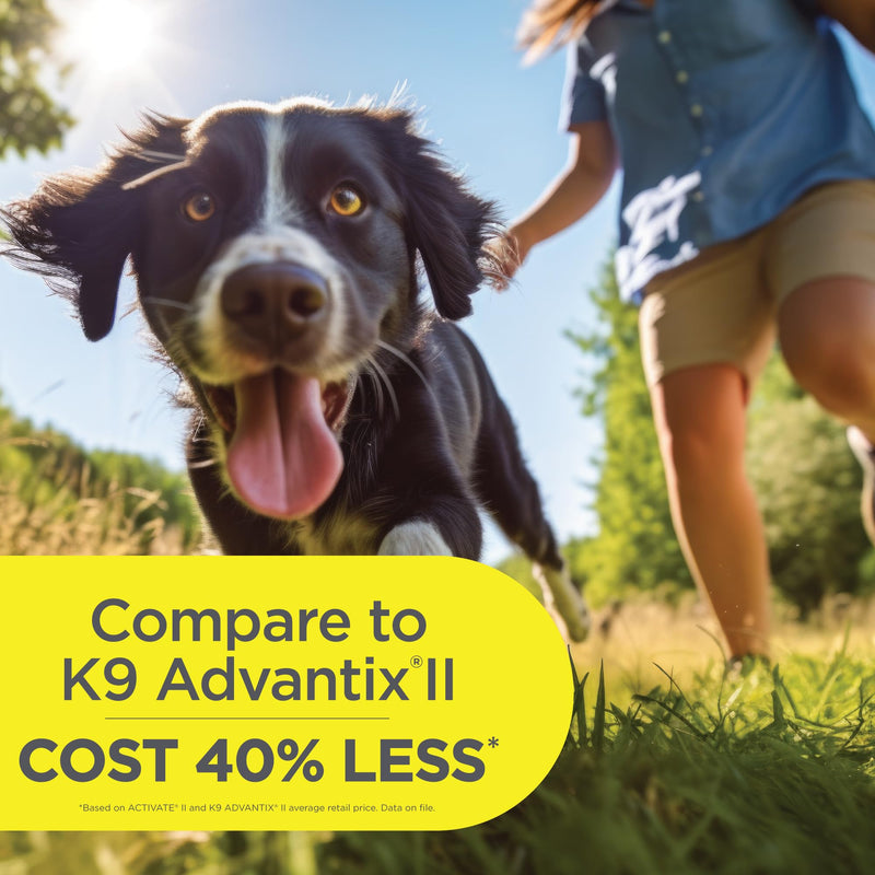 TevraPet Activate II Flea and Tick Prevention for Dogs | 4 Count | Extra Large Dogs 55+ lbs | Topical Drops | 4 Months Flea Treatment (Pack of 2) X-Large 55+ lbs (Pack of 2)