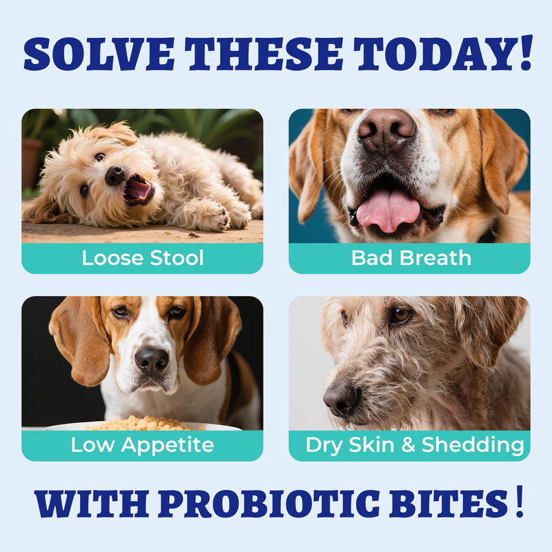 Wellix 19.4oz Probiotics for Dogs - Dog Probiotics and Prebiotics with Pumpkin - Improve Digestive Health, Allergies and Itchy Skin Relief Natural Gut Health Supplements for Small Medium Senior Dog