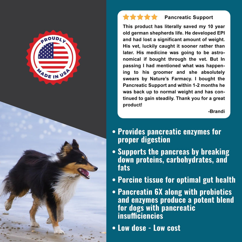 Dogzymes Pancreas Support (8 Ounce) 8 Ounce