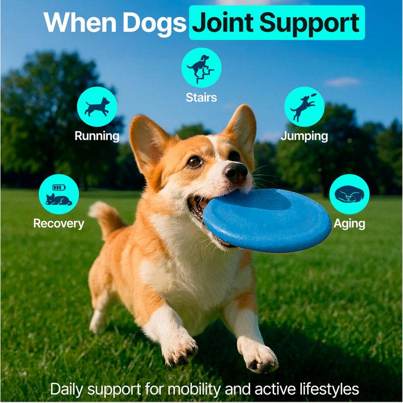 Hip and Joint Supplement for Dogs – Glucosamine for Dogs, Dog Joint Supplement, Mobility, Flexibility & Comfort, Chews with Glucosamine Chondroitin Msm & Omega3, 2 Pack,340 Chews,Made in USA