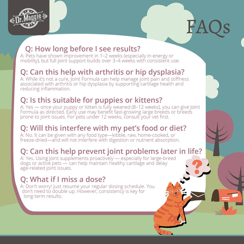 Dr. Maggie Joint Formula for Dogs and Cats with MSM, Glucosamine, and Chondroitin | 240 ml
