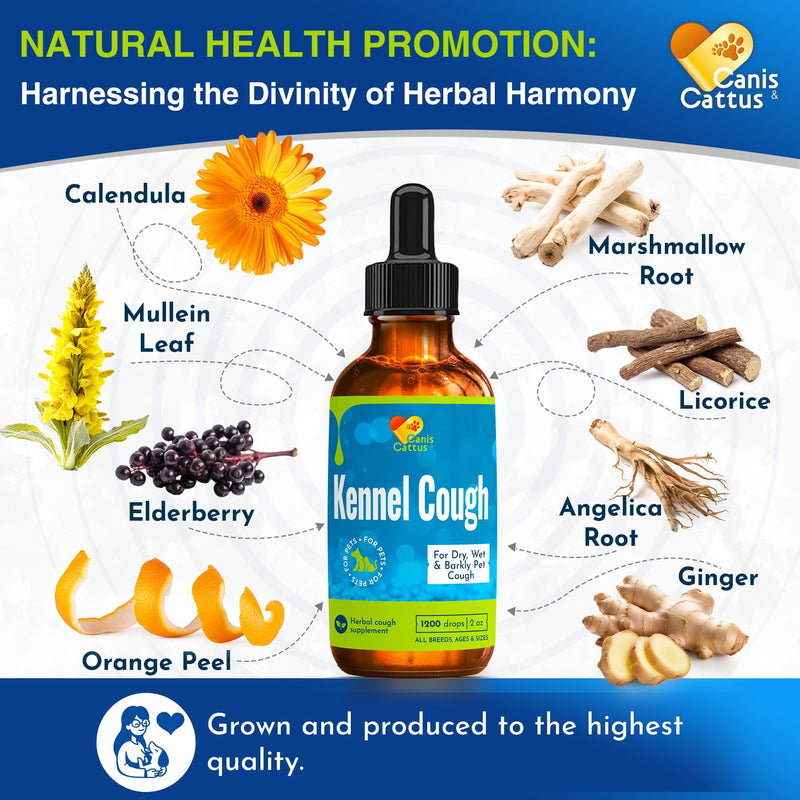 Dog Cough | Kennel Cough | Cat Cough | Dog Allergy Relief | Supplements for Dogs & Cats Health | Allergy Relief Immune Supplement for Dogs | for Dry, Wet & Barkly Pet Couh | 2 Oz 1 Pack x 2 Oz