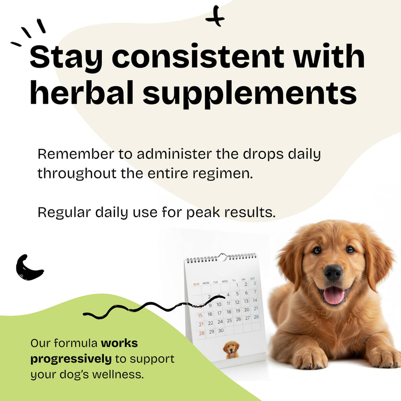 Forever Puppy Liver Support for Dogs - Liquid Milk Thistle Extract for Dogs - Liver Detox Vitamins and Supplements for All Breeds & Sizes - Sugar & Alcohol-Free Drops - 4 oz 4 fl oz
