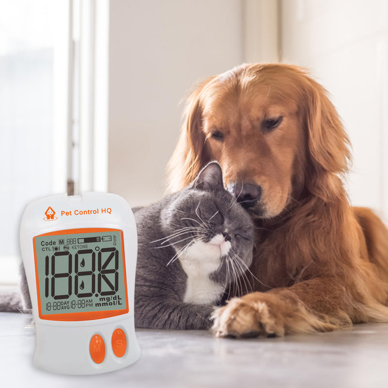 Blood Sugar Glucose Monitor System for Dogs and Cats - Pet Glucose Monitoring Kit - Accurate Diabetes Testing 2 Calibrated Code-Chips for Dog/Cat, Lancets, Logbook - Monitor + 50 Test Strips - PawsPlanet Australia