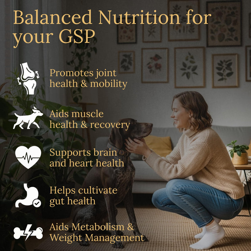 German Shorthaired Pointer Multivitamins, 90 Count, Made in the USA with Real Bacon.