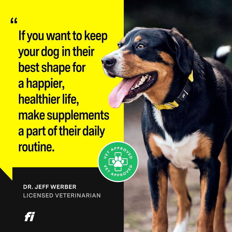 Fi 8-in-1 Dog Health Supplement - Daily Formula Supporting Essential Health Functions - Hip and Joints, Digestion, Skin, and Activity - 19 Active Ingredients (Glucosamine) + 90 Servings - PawsPlanet Australia