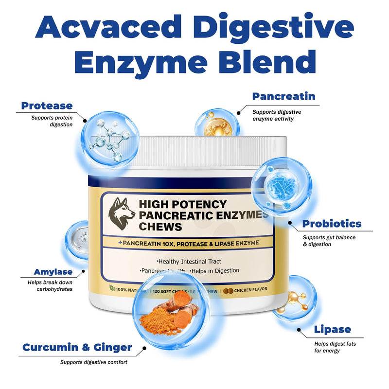 Pancreatic Enzymes for Dogs – 10X Pancreatin Digestive Enzyme Powder – Dog EPI Supplement for Pancreas Support – Helps Restore Weight, Improve Digestion & Relieve GI Stress 120 pieces – Vet Formulated