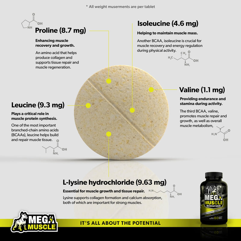 Mega Muscle - 60 Tablets Muscle Gain | Daily Booster Chewable Tablets Multivitamin for Dogs in All Life Stages | High Protein, Weight Gain Puppy & Adult Dog Supplement | Chicken Flavor