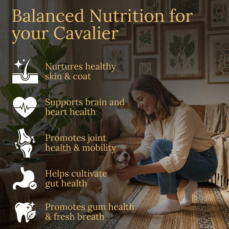 Cavalier King Charles Spaniel Multivitamins, 90 Count, Made in the USA with Real Bacon.