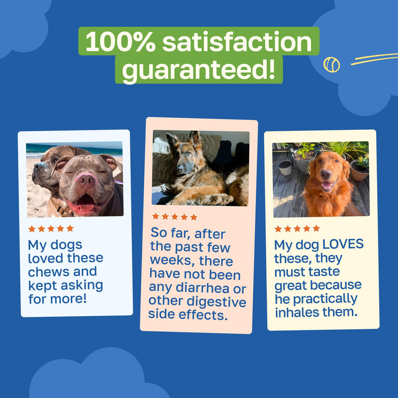 Happy Paws Digestive Support Supplement & Dog Probiotics, Supports Gut Health & Diarrhea with Enzyme Blend & Ginger Root, Pumpkin Flavor, Organic, Non GMO, 100 Soft Chews 100 Count