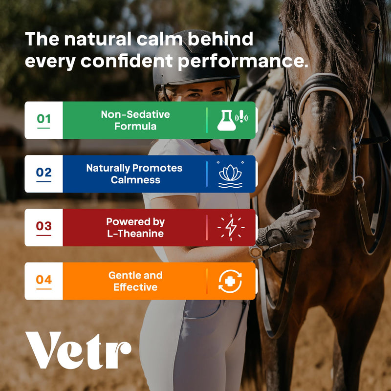 VetrChill Calming Gel for Horses - Apple Flavored Oral Supplement with L-Theanine and Melatonin - Supports Relaxation and Focus - Single Tube - Vet-Formulated in USA