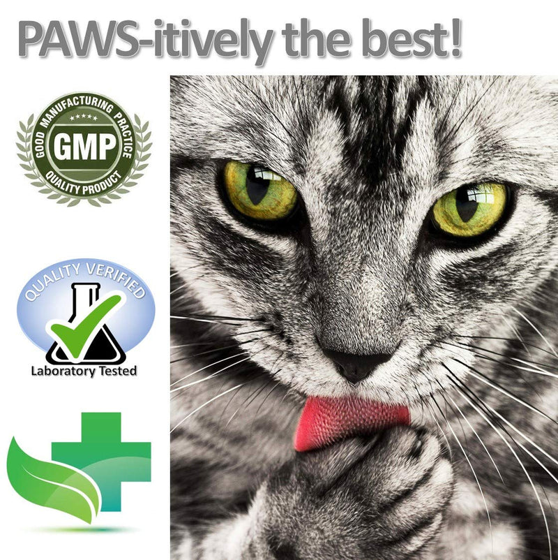 Vet Worthy Anti-Diarrhea for Cats (4 oz) - PawsPlanet Australia