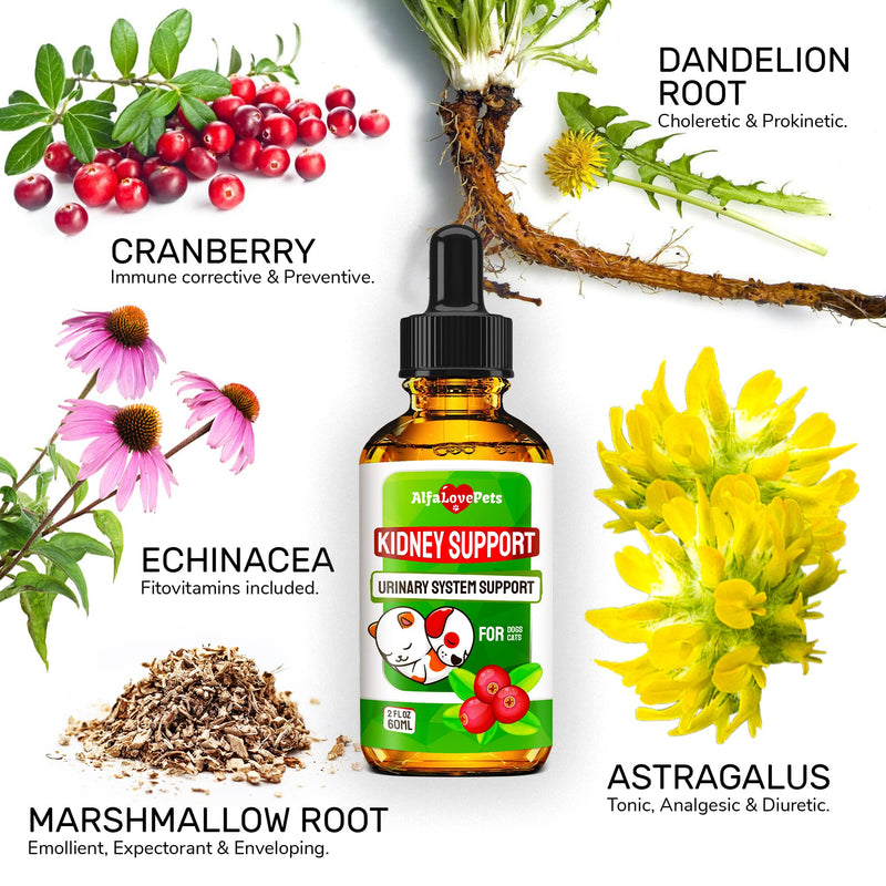 Natural Kidney Support for Dog UTI & Cat UTI - Canine Urinary Tract Care w/ Cranberry - Cat Bladder & Dog Kidney Essentials - Organic Supplement - Made in USA Drops for Dog Kidney Support (2 Oz) - PawsPlanet Australia