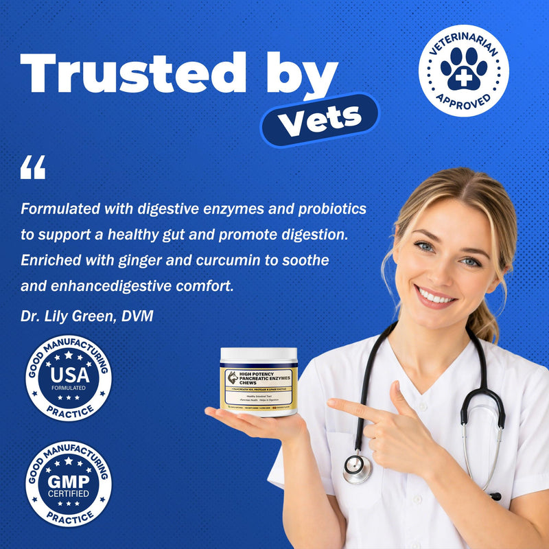 Pancreatic Enzymes for Dogs – 10X Pancreatin Digestive Enzyme Powder – Dog EPI Supplement for Pancreas Support – Helps Restore Weight, Improve Digestion & Relieve GI Stress 120 pieces – Vet Formulated