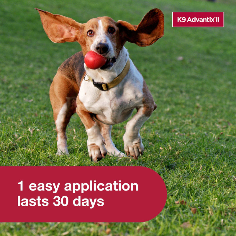 K9 Advantix II Small Dog Vet-Recommended Flea, Tick & Mosquito Treatment & Prevention | Dogs 4-10 lbs. | 3-Mo Supply