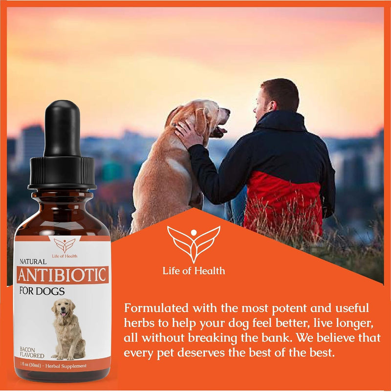 Natural Antibiotics for Dogs - Dog Antibiotics - Dog Itch Relief - Yeast Infection Treatment for Dogs - Dog Antibiotic - Dog Ear Infection Treatment - Pet Antibiotics - Antibiotic for Dogs - 1 oz