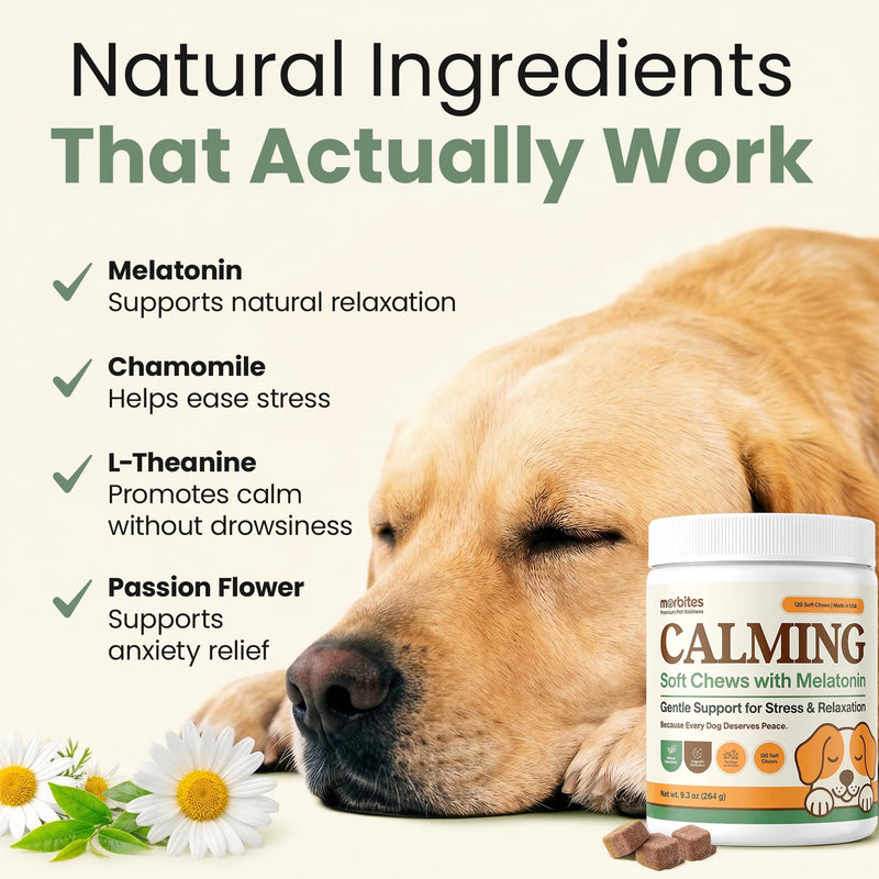 Calming Soft Chews for Dogs with Melatonin & L-Theanine – Daily Emotional Wellness Support – 120 Count