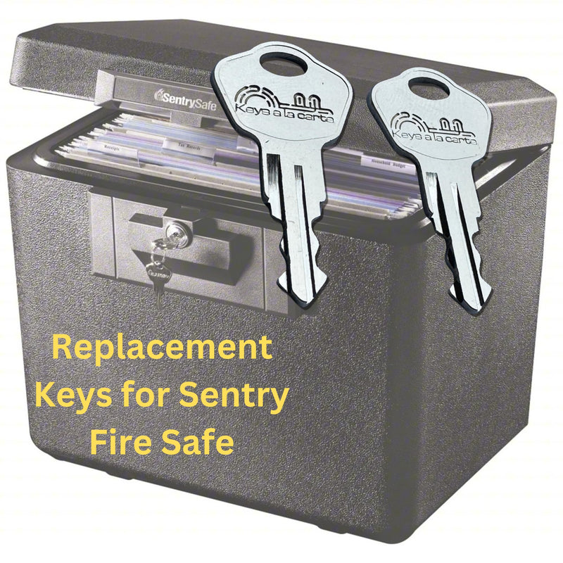 Pair of Replacement Keys for Sentry Safe Lock Boxes, Fire Chests, Fire Files, & Fire/Water Files – Cut to Code 3C2