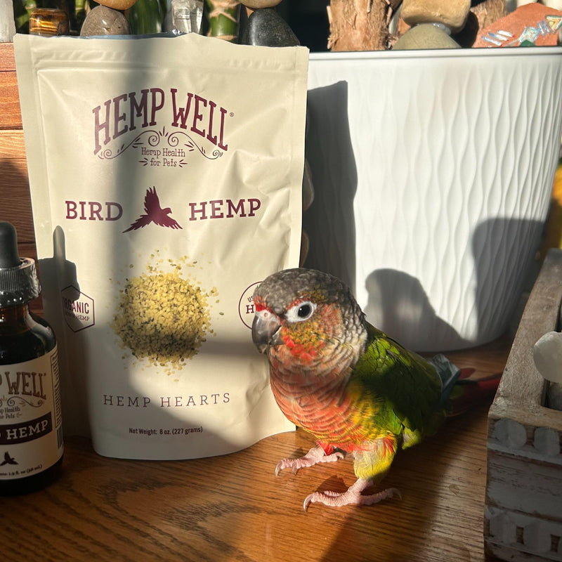 Hemp Well Organic Hemp Hearts for Birds - Reduces Feather Plucking, Promotes Relaxation, Immune Support, Organic, USA Grown, GMO Free – 8 Ounces 8 Ounce (Pack of 1)