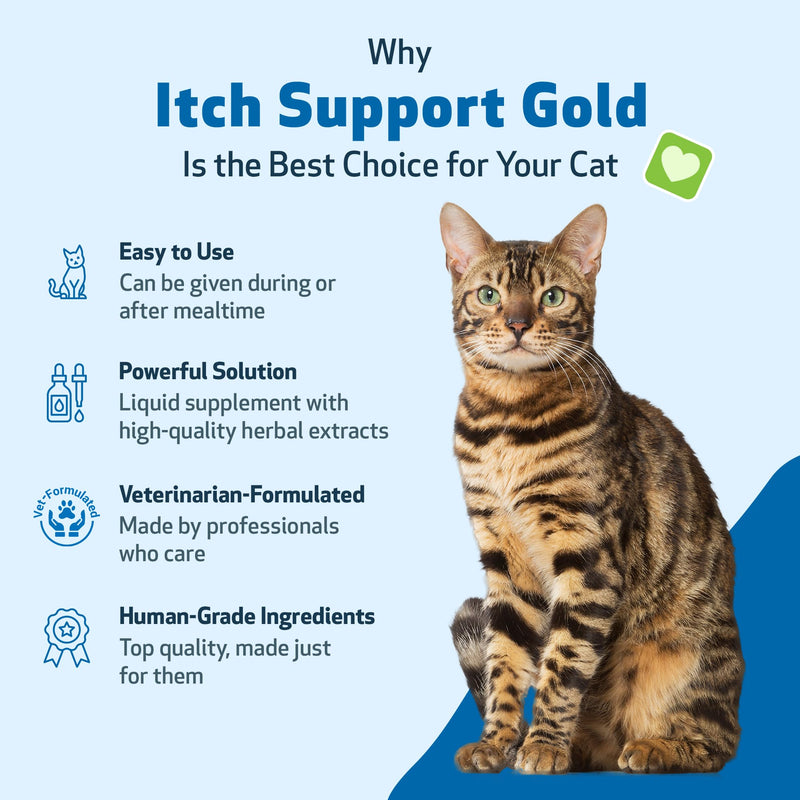 Pet Wellbeing Itch Support Gold for Cats - Occasional Itching, Scratching, and Hot Spots, Environmental and Seasonal Allergies, Dong Quai - Veterinarian-Formulated Herbal Supplement 2 oz (59 ml) 2 fl oz (59 ml)