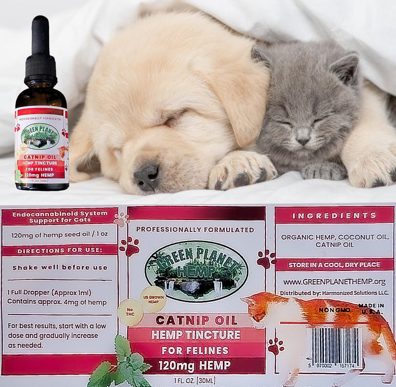 Pet Hemp Oil | Catnip Oil | Dogs and Catsl | Aids with Anxiety, Stress, Pain, Hip, Joint, and Muscle Support for Young to Senior Pets | 120MG Organic Hemp | 100% Natural | Green Planet Hemp