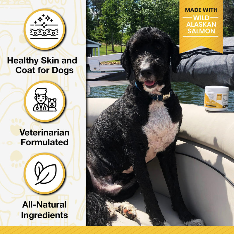 Dog Fish Oil Supplements - 120 Omega 3 Fish Oil Dog Vitamins, Veterinarian Formulated Itching Relief for Dogs, Natural Omega 3 Fish Oil for Dogs, Dog Skin and Coat Supplement (Salmon Flavor) Salmon - PawsPlanet Australia