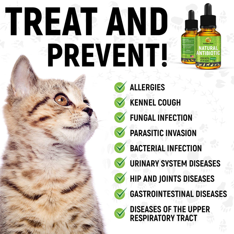 GoldenPaw Herbal Pet Supplement for Cat - PawsPlanet Australia