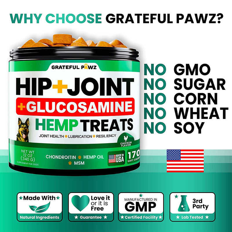 Hemp Hip and Joint Supplement for Dogs - Glucosamine for Dogs - 170 Joint Pain Relief Treats - Chondroitin, MSM, Hemp Oil - Advanced Health Supplement - Mobility Support Chews - Made in USA 12 OZ