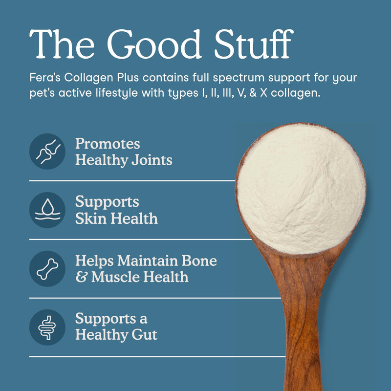 Fera Pets Stiff Joints & Mobility Support for Dogs – Collagen + Hip & Joint Chews for Flexibility, Comfort & Active Movement