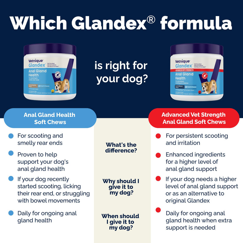 Glandex Anal Gland Soft Chews for Dogs (Peanut Butter, 60ct) + YuMOVE Advanced Strength Hip & Joint Supplement (90ct) | Digestive & Mobility Bundle