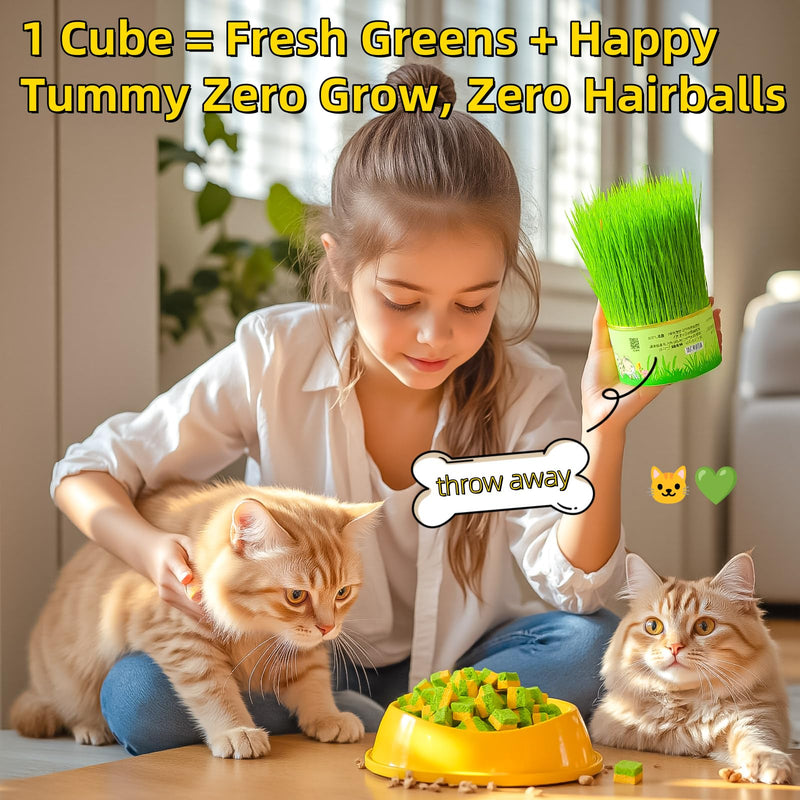 Cats Toy Kitten Grass Treats 260g/9.17oz Freeze Dried 2 in 1 Fish Oil Cat Chew Stick Pellet for Hairball Removal Kitty Catnip Snack Chicken Flavor for Cleaning Teeth & Dental Care Food Indoor