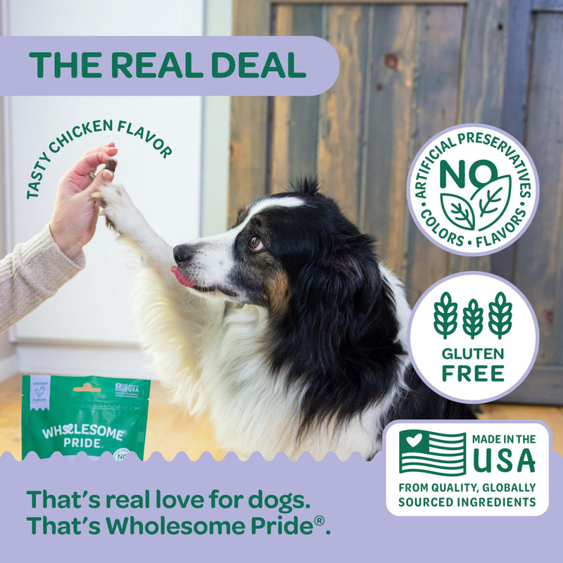 Wholesome Pride Hip & Joint Supplement for Dogs – 90 Soft Chews – Glucosamine, Chondroitin, MSM & Turmeric – Mobility Support & Arthritis Relief for Growing, Adult & Senior Dogs Hip & Joint Chew 7.9 Ounces (Pack of 1)