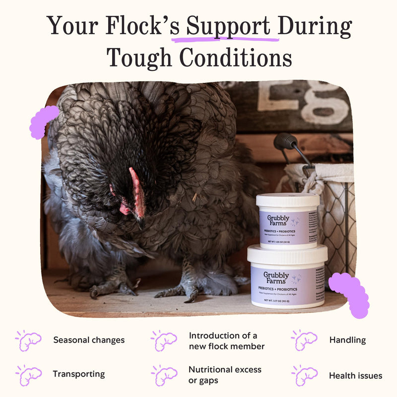 Grubbly Farms Prebiotics + Probiotics for Chickens (30 Day) 30 Day