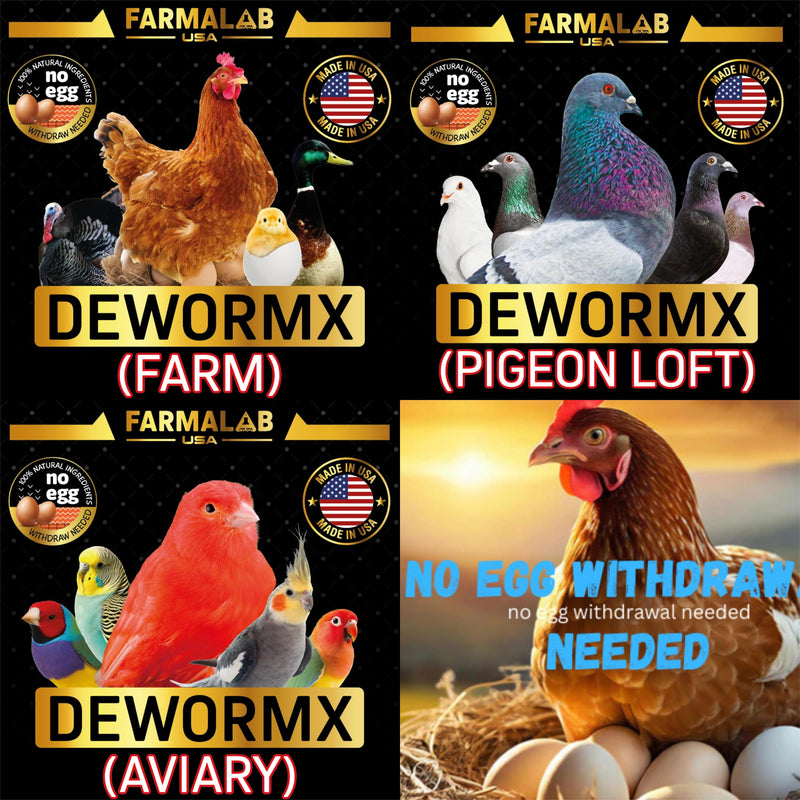 Farmalab Natural Dewormer Internal & External 100 Tabs Poultry - Vitamin for Poultry Rooster Hen Chicken Baby Chick Doves Pigeons and All Caged Birds (Pigeon Doves Squail) 100 Tabs Pigeons