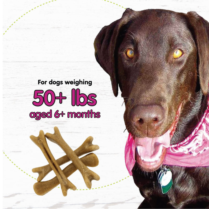 Fido - Belly Bones for Dogs, Yogurt Flavored Large Dog Dental Treats - 4 Treats Per Pack (3 Pack) - for Large Dogs (Made in USA) - Plaque and Tartar Control for Fresh Breath, Digestive Health Support