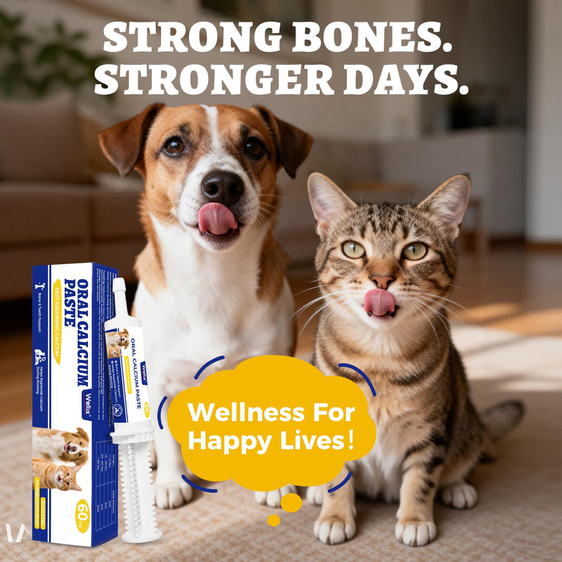 Wellix 60ml Oral Calcium Paste for Whelping Dogs & Cats, Easy-to-Absorb Calcium Supplement for Dogs & Cats with Calcium Gluconate, Lactate & Vitamin D3 for Labor Support & Recovery, Chicken Flavor