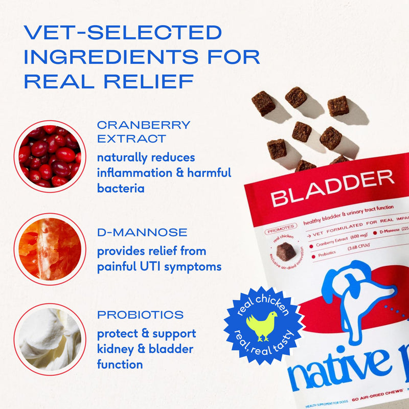 Native Pet Urinary & Omega Wellness Bundle: Bladder Chews for Dogs (120 Air-Dried Chews) & Omega Oil for Dogs (16 Oz) - UTI Treatment & Prevention + Fast-Absorbing Omega 3 6 9 Supplement