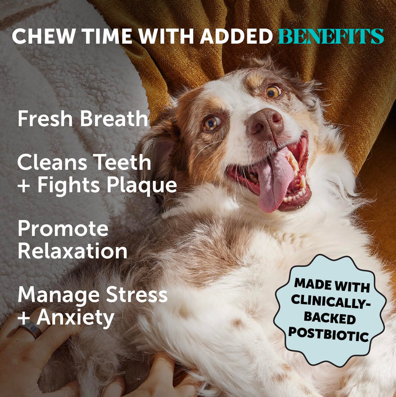 Hemp Calming Dog Dental Sticks - Reduce Stress + Occasional Anxiousness with Melatonin + Hemp to Promote Calm, Reduce Plaque + Tartar, Fresh Breath Teeth Cleaning Treats (Pumpkin Peanut Butter, 30 Ct)