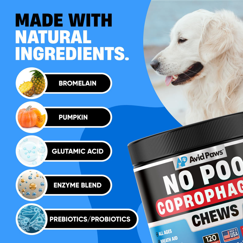 No Poo Chews for Dogs - Coprophagia Deterrent for Dogs - Stop Eating Poop for Dogs - Dog Poop Eating Deterrent - Forbid Stool Eating Deterrent for Dogs with Probiotics & Enzymes for Digestive Health - PawsPlanet Australia