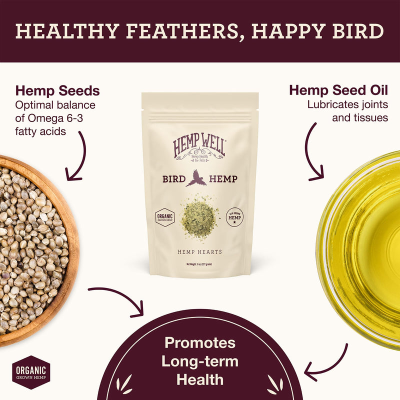 Hemp Well Organic Hemp Hearts for Birds - Reduces Feather Plucking, Promotes Relaxation, Immune Support, Organic, USA Grown, GMO Free – 8 Ounces 8 Ounce (Pack of 1)