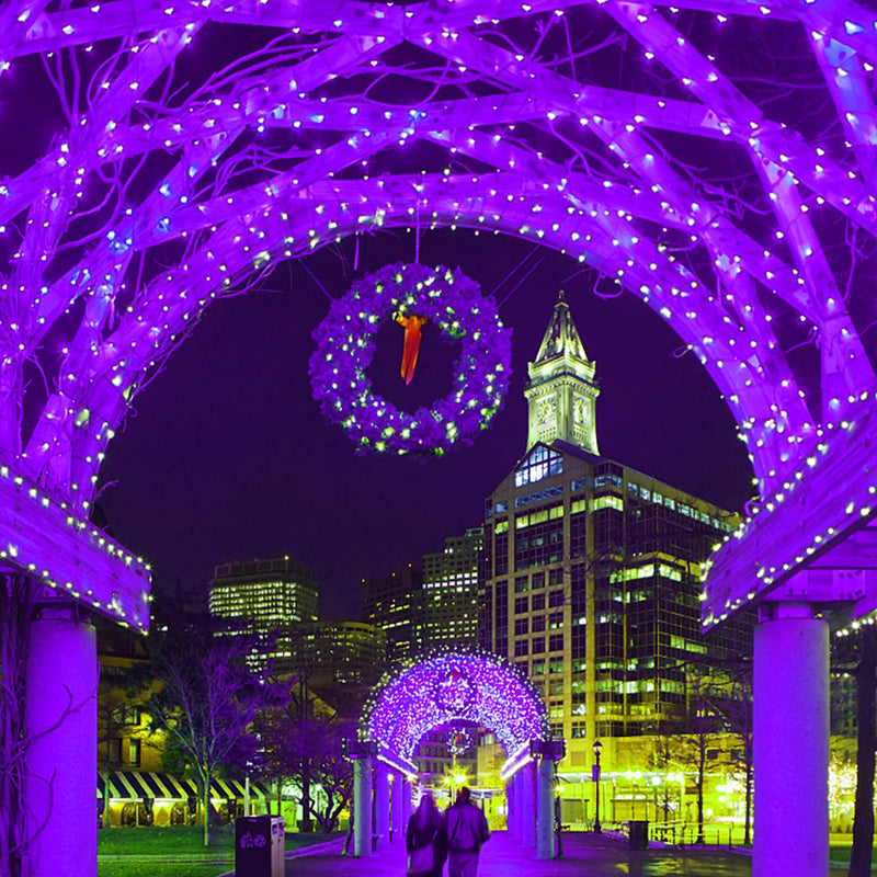 HOME LIGHTING 66ft Halloween Decorative Mini Lights, 200 LED Green Wire Fairy Starry String Lights Plug in, 8 Lighting Modes, for Indoor Outdoor Xmas Tree Wedding Party Decoration (Purple) Purple
